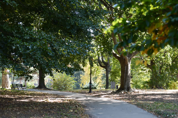 Owls Head Park Dog Run